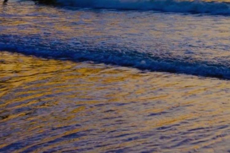 close-up view of a small wave rolling onto shore