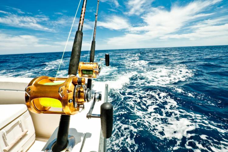 fishing poles on boat