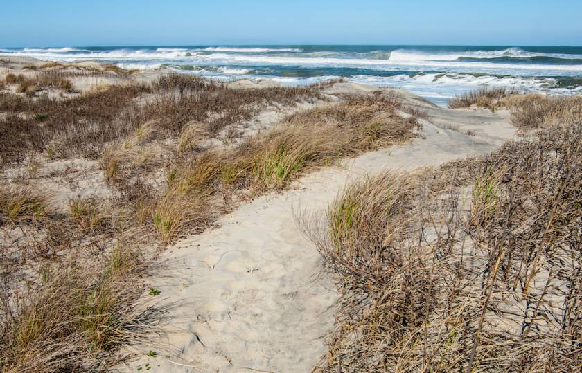 view of the beach on Hatteras Island